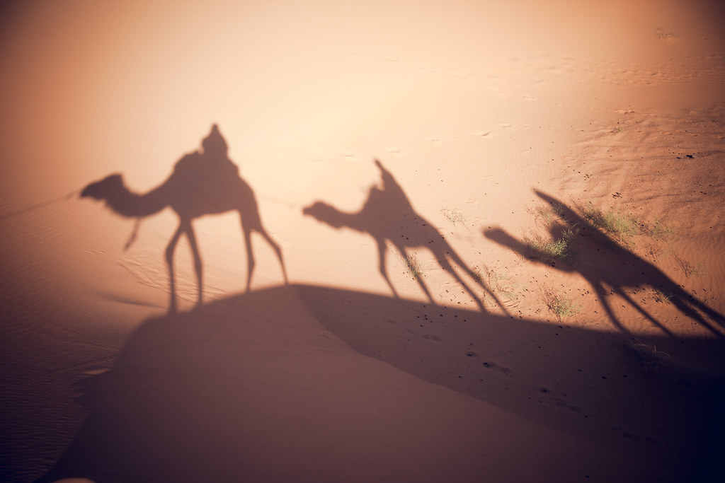 Sahara Desert Camel Caravan Merzouga Morocco