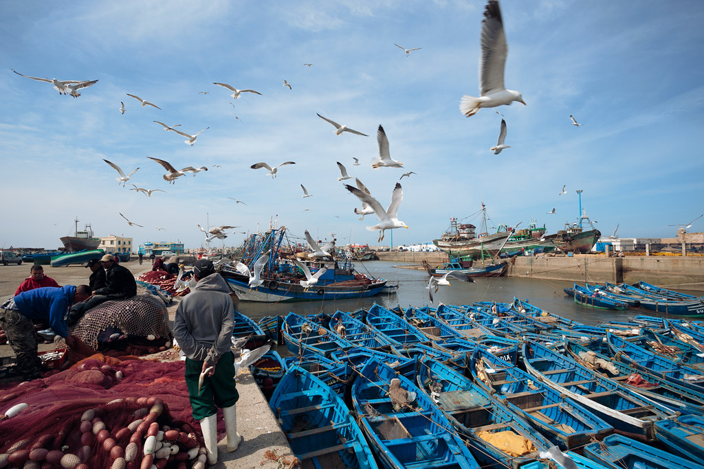 Blue fishing boats in Essaouira, Morocco